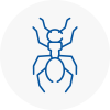 Ant Removals In Paisley