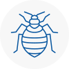 Bed Bug Extermination In Paisley