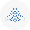 Bee Nest Removal Paisley