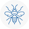 Paisley Hornet Nest Removals