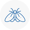 Moth Control Specialists In Paisley