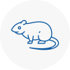 Rat Control Paisley