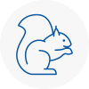 Paisley Rodent Removals