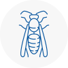 Paisley Wasp Nest Removal